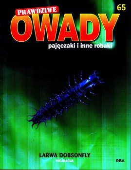 Prawdziwe Owady Pajęczaki i Inne Robaki