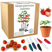 Prezent dla dzieci zestaw mały ogrodnik roślinka