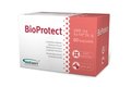 Probiotyk dla psów i kotów VETEXPERT BioProtect, 60 kaps. - VETEXPERT