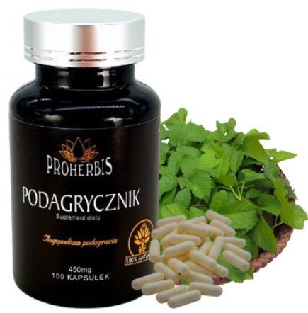 PROHERBIS Podagrycznik Pospolity Stany Zapalne Podagra 100% naturalny ...
