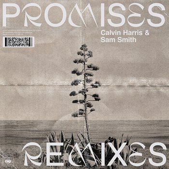 Promises (Remixes) - Calvin Harris, Sam Smith