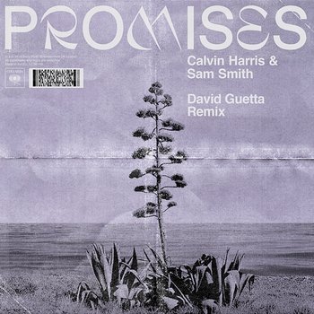 Promises - Calvin Harris, Sam Smith