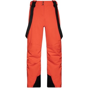 Protest, Spodnie męskie, Owens Snowpants - P4791900/915, rozmiar L - PROTEST