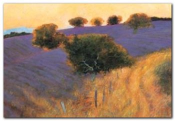 Provence plakat obraz 65x44cm - Wizard+Genius