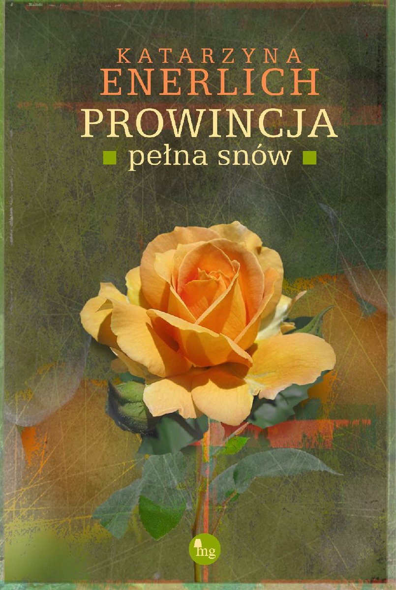 Prowincja pełna snów - ebook epub