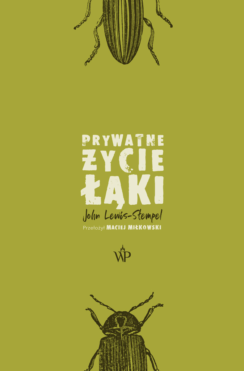 Prywatne życie łąki-Zdjęcie-0