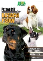 Przewodnik po Rasach Psów Various Directors