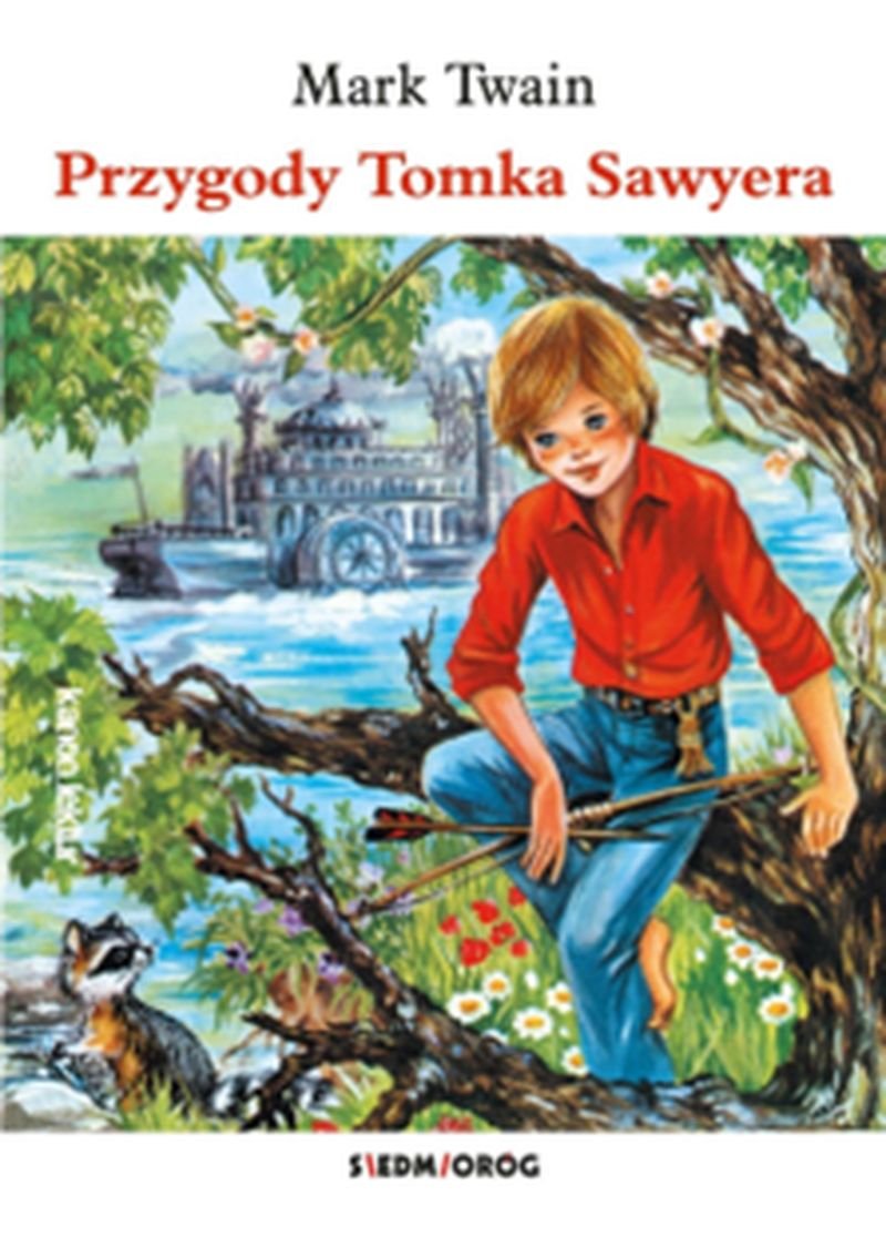 Przygody Tomka Sawyera - Twain Mark | Książka W Empik