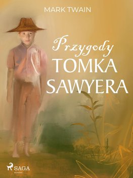 Przygody Tomka Sawyera - Twain Mark