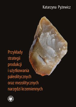 Przykłady strategii produkcji i użytkowania paleolitycznych oraz mezolitycznych narzędzi krzemiennych - Pyżewicz Katarzyna