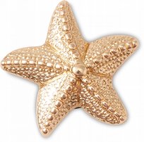 Przypinka Crocs Jibbitz Pin Do Butów Star Fish Crocs