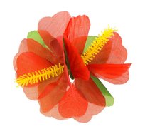 Przypinka hawajska, czerwona