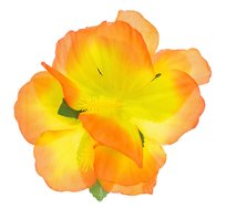 Przypinka hawajska, pomarańczowa