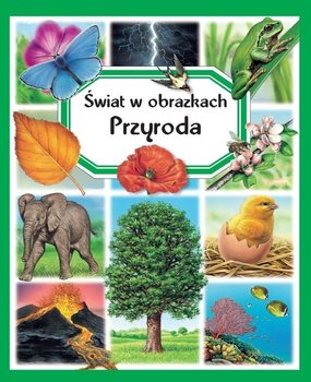 Przyroda. Świat w obrazkach - Beaumont Emilie