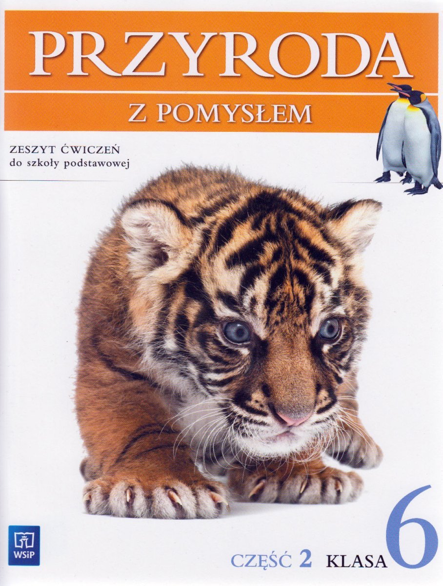 Przyroda z pomysłem. Zeszyt ćwiczeń. Klasa 6. Część 2. Szkoła