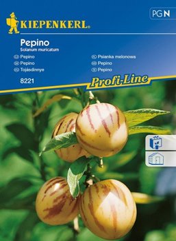 Psianka melonowa Pepino Solanum muricatum - KIEPENKERL