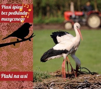 Ptaki na wsi (ptasi śpiew bez podkładu muzycznego) - Various Artists