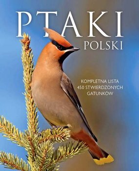 Ptaki Polski - Marchowski Dominik