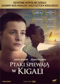 Ptaki Śpiewają Kigali (wydanie książkowe) - Kos-Krauze Joanna, Krauze Krzysztof