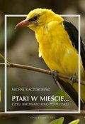 Ptaki w mieście czyli birdwatching po polsku - Kaczorowski Michał