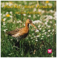 Najczęściej kupowane