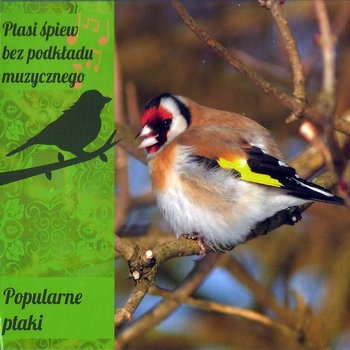 Ptasi śpiew bez podkładu muzycznego - Dźwięki natury