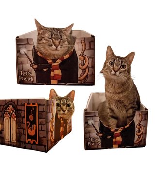 PUDEŁKO LEGOWISKO domek dla kota CAT BOX Harry Pawter Potter kojec 22x35x15cm - KOTiOWO
