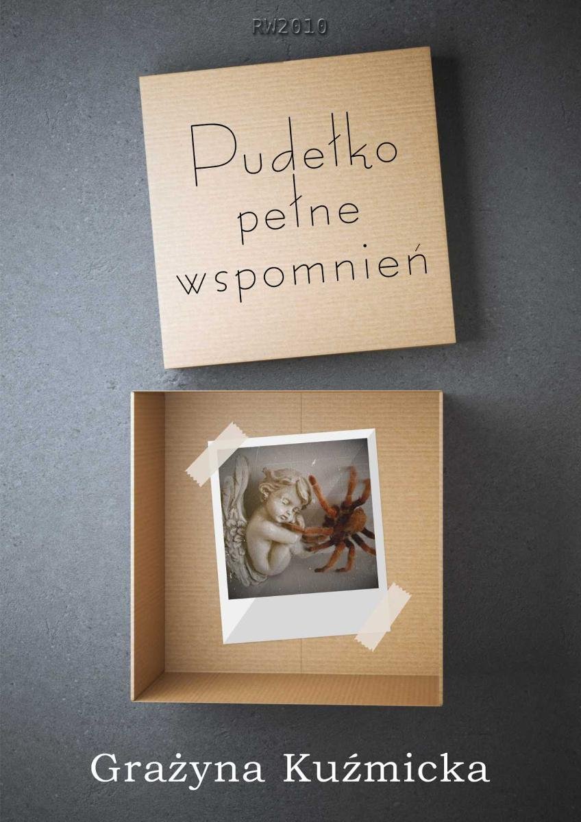 Pudełko pełne wspomnień - ebook mobi