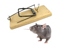 Pułapka Łapka Na Myszy Tradycyjna Silna Drewniana