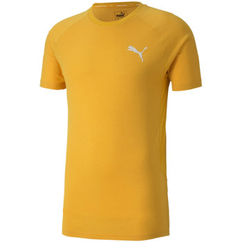 Puma, Koszulka męska, Evostripe Lite Tee żółta 581534 25, rozmiar S - Puma