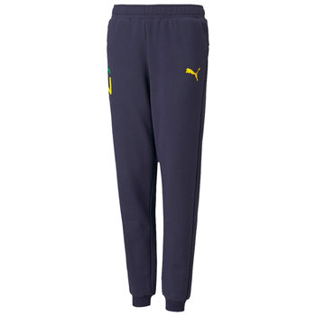 Puma Neymar Jr Hero Sweatpants 605547-06 Chłopięce Spodnie Granatowe - Puma