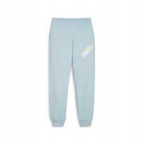 Puma Spodnie Power Tr 67789522 R M Puma