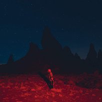 洋楽 Phoebe Bridgers STRANGER IN THE ALPS LP Phoebe Bridgers – Stranger In The Alps LP (Limited Edition