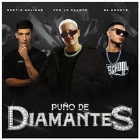 Puño De Diamantes Martin Salinas & El Amante, The La Planta