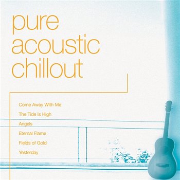 Pure Acoustic Chillout - The New World Orchestra feat. Merv Young