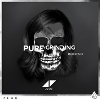 Pure Grinding Avicii