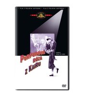 Purpurowa róża z Kairu