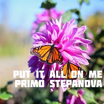 Put It All on Me - Primo Stepanova