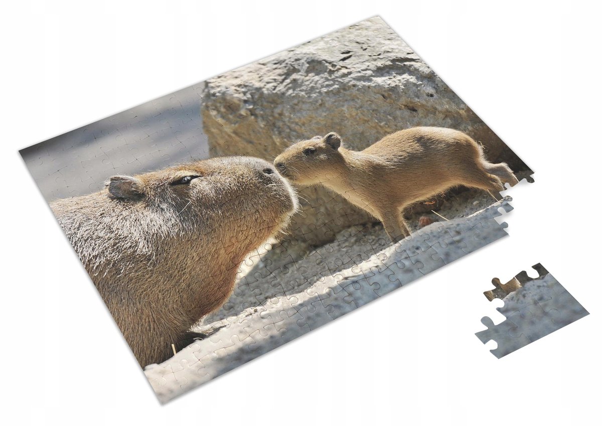 PUZZLE Kapibara Capybara + IMIĘ Pudełko 120 el. - Atram | Sklep EMPIK.COM