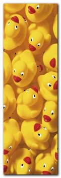 Quack Quack III plakat obraz 33x95cm - Wizard+Genius