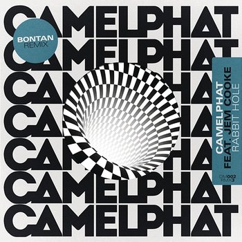 Rabbit Hole - CamelPhat & Jem Cooke