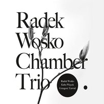 Radek Wośko Chamber Trio Radek Wośko Chamber Trio