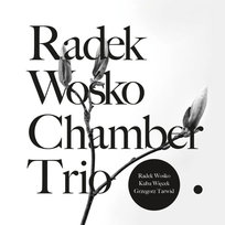 Radek Wośko Chamber Trio Radek Wośko Chamber Trio