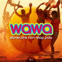 Radio Wawa słoneczne non stop polo vol.2 Różni Wykonawcy