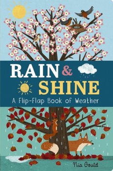 Rain & Shine: A Flip-Flap Book of Weather - Molly Littleboy