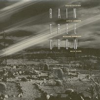 Rain Tree Crow Rain Tree Crow