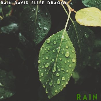 Rain - Rain David Sleep Dragon