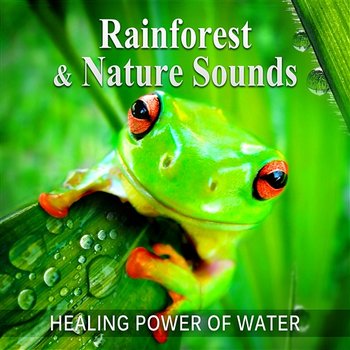 Rainforest & Nature Sounds: 50 Healing Power of Water (Rain, River, Ocean and Sea) Music for Sleep and Relaxation, Free Your Mind & Relax Better, Deep Waves Meditation - Calming Water Consort