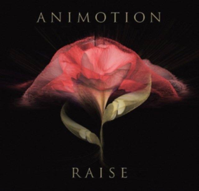 raise-your-expectations-animotion-muzyka-sklep-empik-com