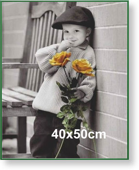 Rama aluminiowa do plakatu 40x50cm, zielona / ARTVIC - ARTVIC